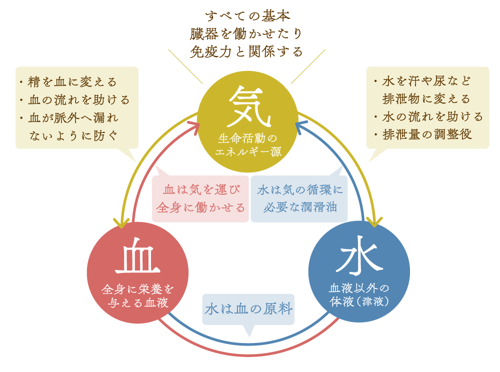 気血水の説明